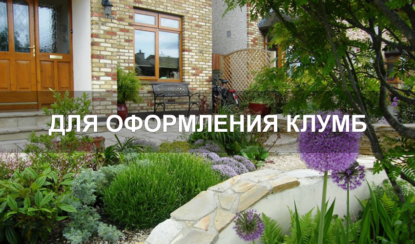 Для оформления клумб
