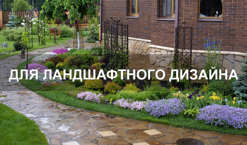 Цветы для ландшафтного дизайна