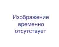 вербена гибридная   Verbena hibrida